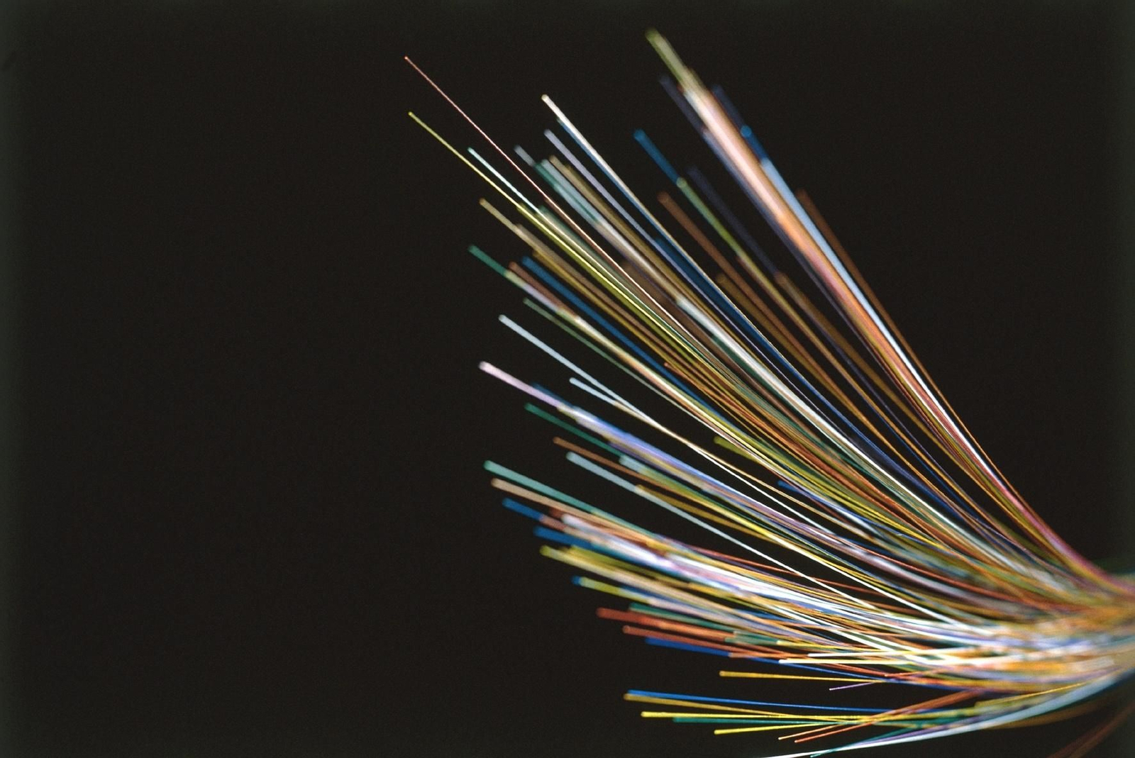 Archivo - Imagen de archivo de cables de fibra óptica.