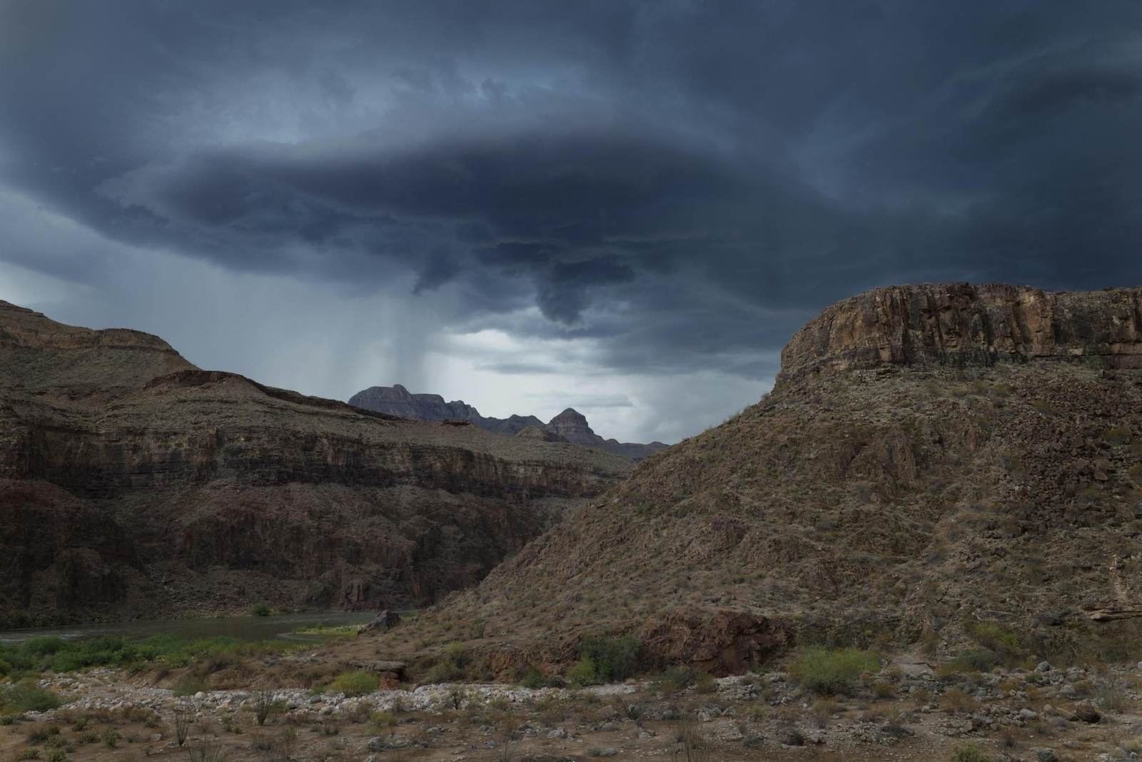 steve-gribble-ZDw4bMLSUXA-unsplash