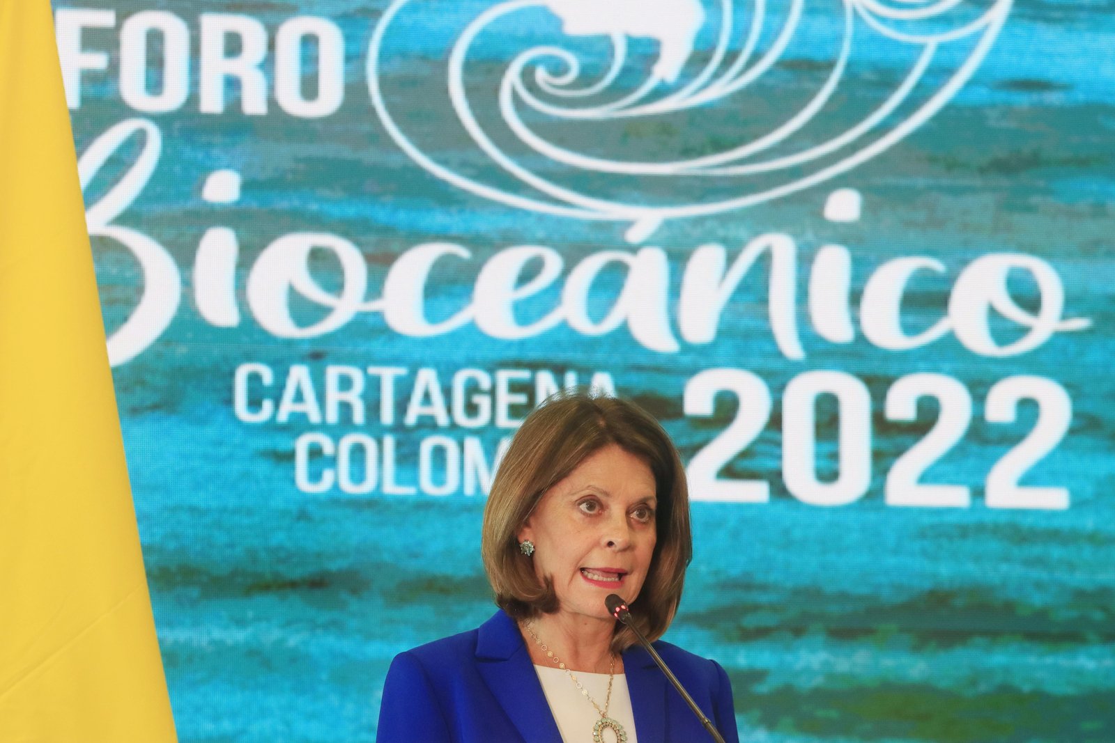 El desarrollo sostenible de océanos, prioridad del foro de países bioceánicos