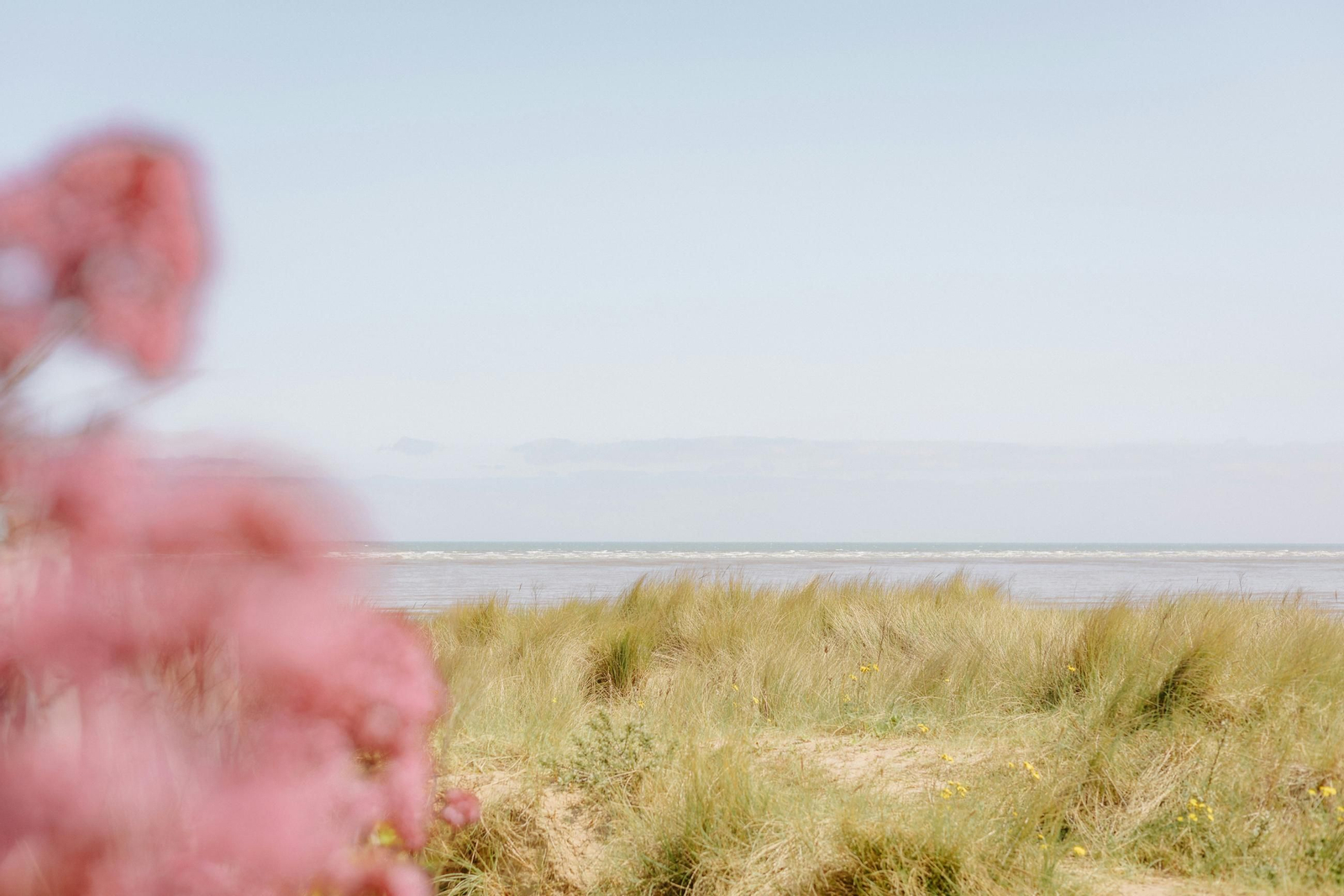 annie-spratt-6PKw0t-wm0M-unsplash annie-spratt-6PKw0t-wm0M-unsplash